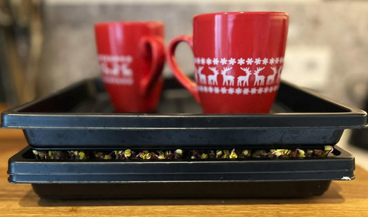 Microgreens Kweken in de winter