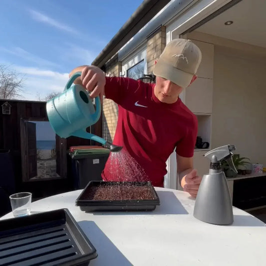 Microgreens kweken: De complete gids voor een succesvolle oogst