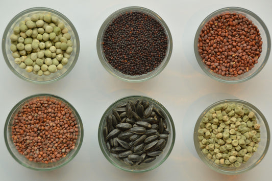 Wat zijn microgreens? Ontdek de kracht van deze kleine supergroenten!