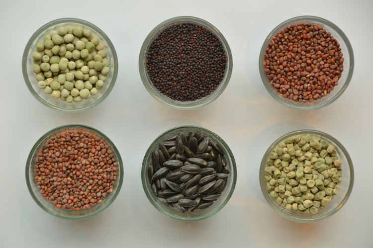 Best verkochte microgreens producten