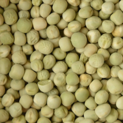 Biologische microgreens zaden groene erwt, om zelf thuis gezonde microgreens te kweken.