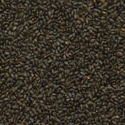 Grüne Basilikum-Microgreens-Samen – aromatisch und spektakulär