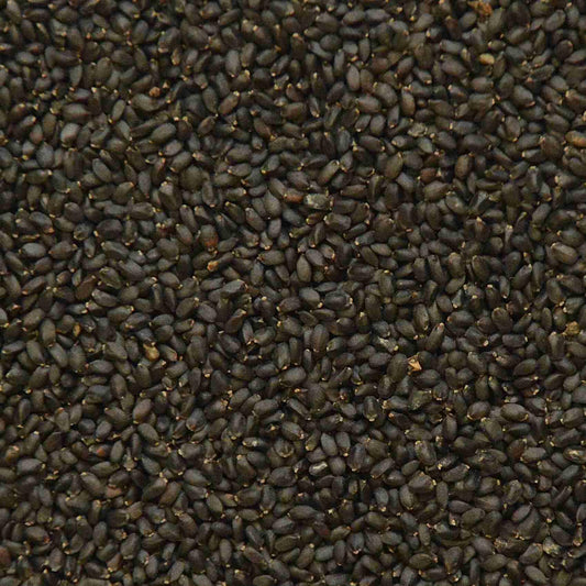 Grüne Basilikum-Microgreens-Samen – aromatisch und spektakulär