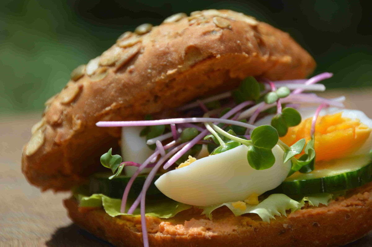 Gezonde Microgreens als toevoeging op een broodje met ei en hummus. Heerlijk om zelf microgreens te kweken. 