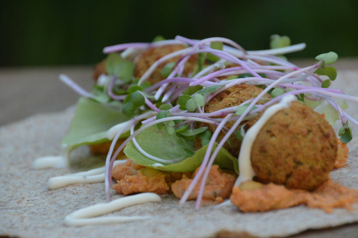 Gezonde Microgreens als toevoeging op een wrap met falafel. Heerlijk om zelf microgreens te kweken. 