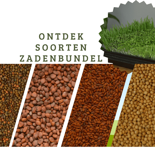 Microgreens zadenbundel Ontdek soorten kopen