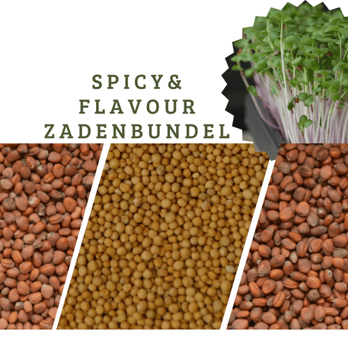 Microgreens zadenbundel spicy en flavour kopen 