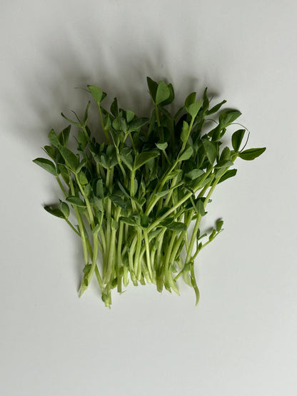 Pea Affila Sprout Seeds - Unique Taste and Texture
